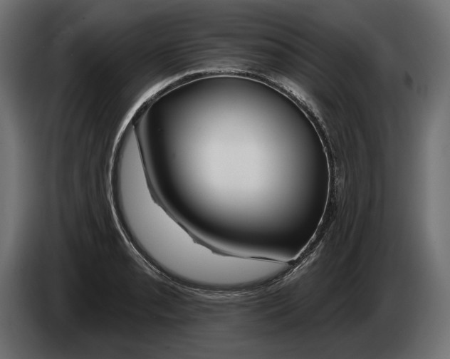 X0000082931085200703020100