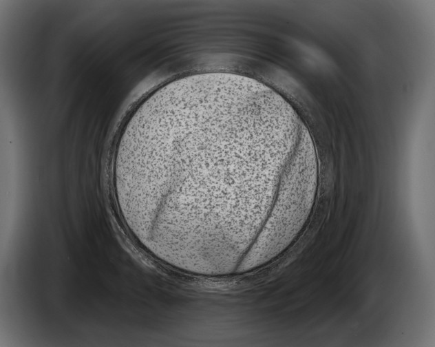 X0000082931086200703020100