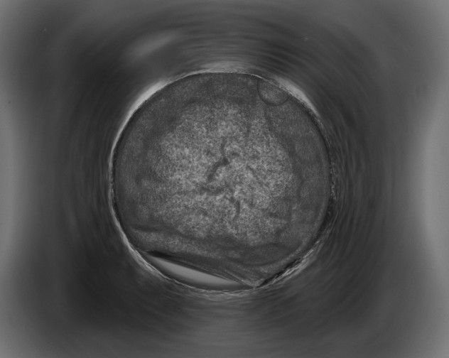X0000082931087200703020100