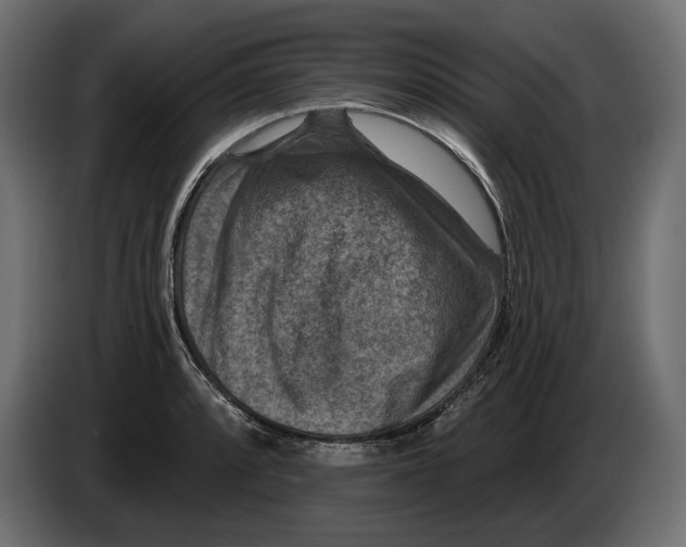 X0000082931088200703020100