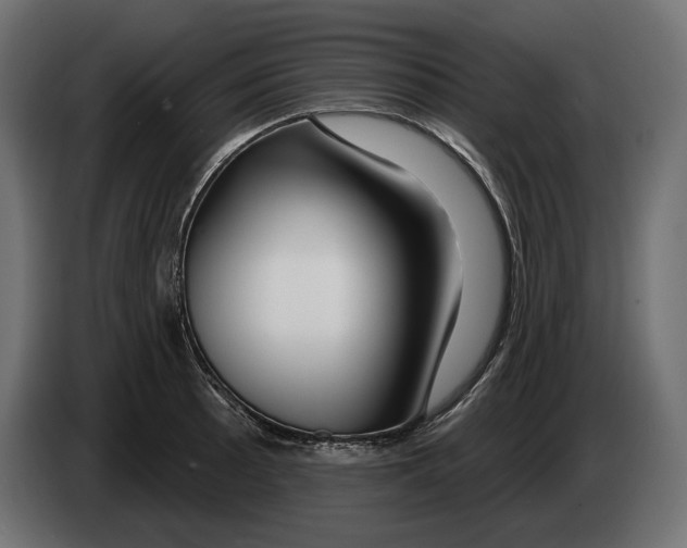 X0000082931089200703020100