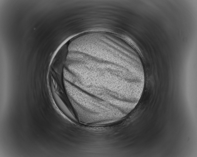 X0000082931092200703020100