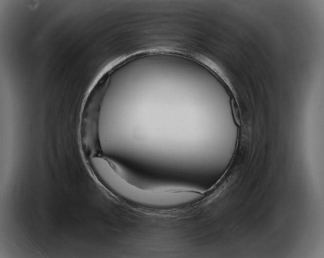 X0000082931093200703020100
