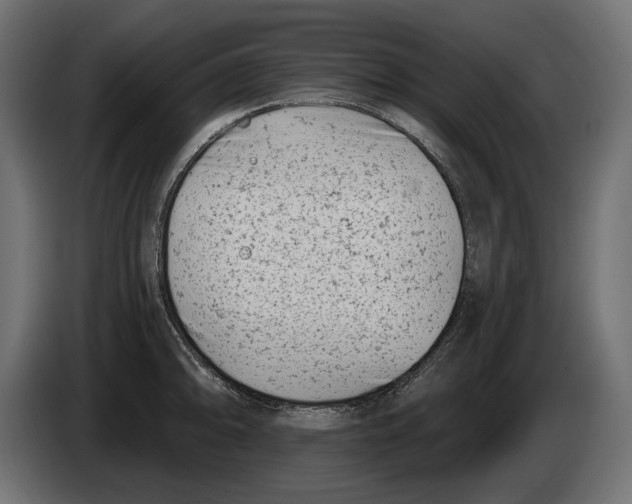 X0000082931094200703020100