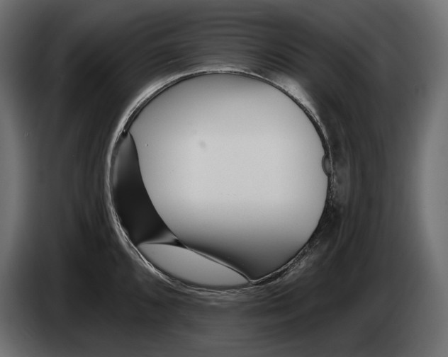 X0000082931096200703020100