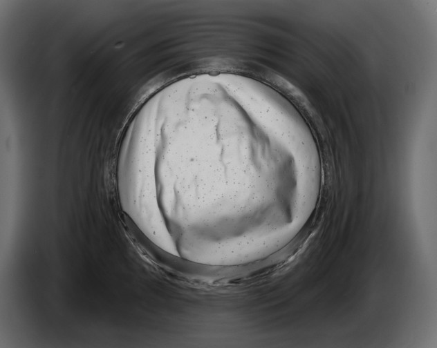 X0000082931097200703020100