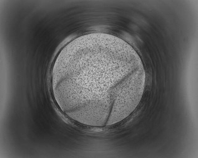 X0000082931098200703020100