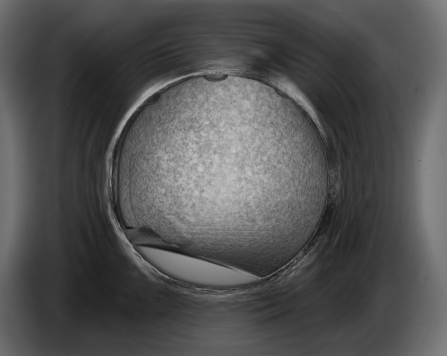 X0000082931099200703020100