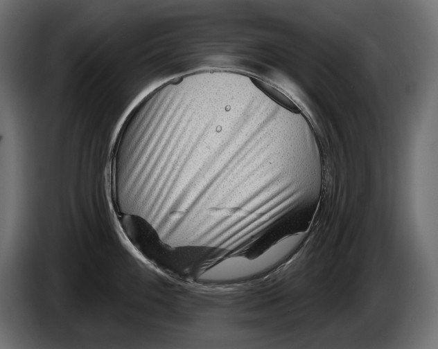 X0000082931100200703020100