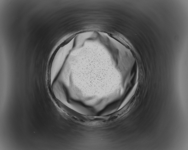 X0000082931101200703020100