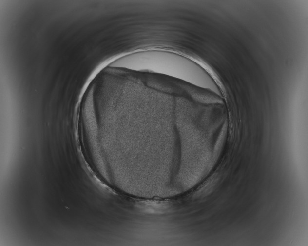 X0000082931102200703020100