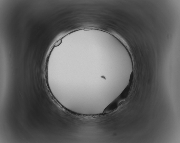 X0000082931104200703020100