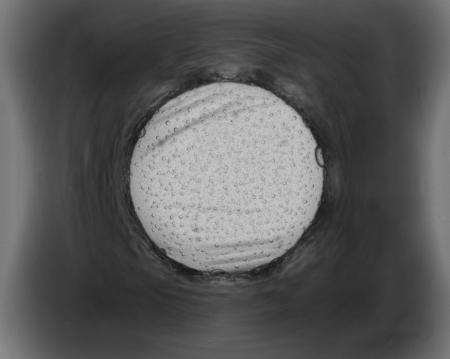 X0000082931105200703020059