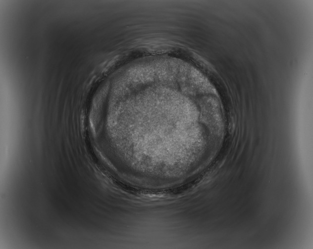 X0000082931108200703020059