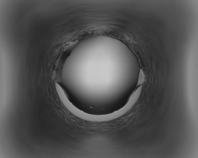 X0000082931109200703020059