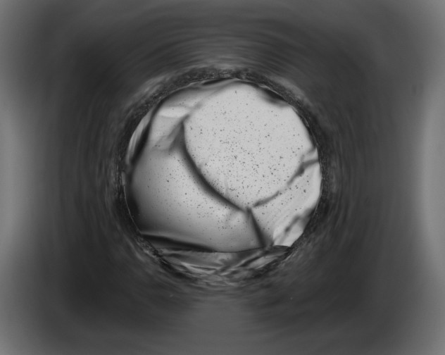 X0000082931110200703020059