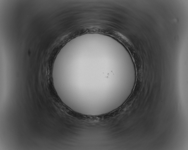 X0000082931111200703020059