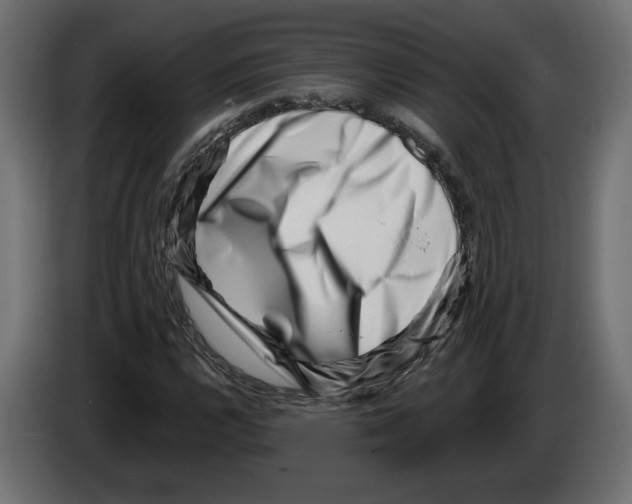X0000082931112200703020059