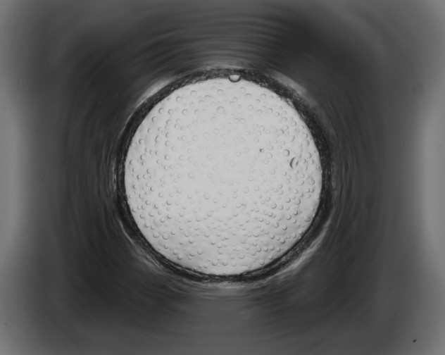 X0000082931113200703020059