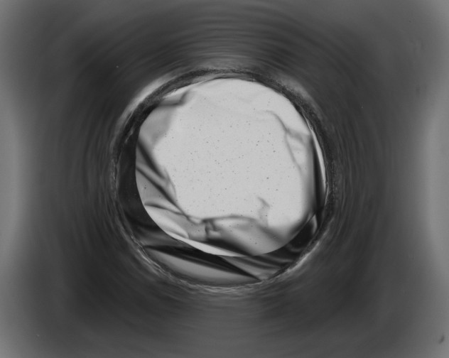 X0000082931114200703020059