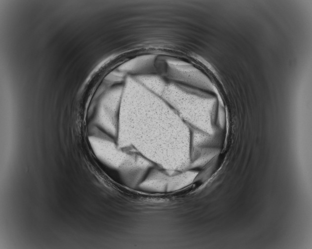 X0000082931115200703020059