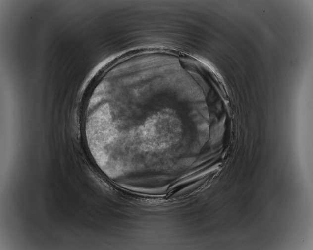 X0000082931120200703020059