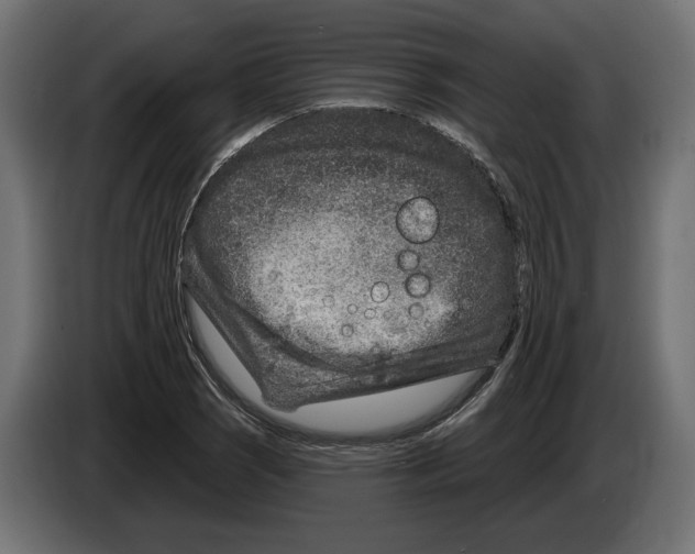 X0000082931121200703020059
