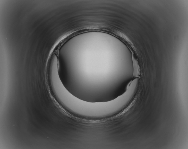 X0000082931122200703020059