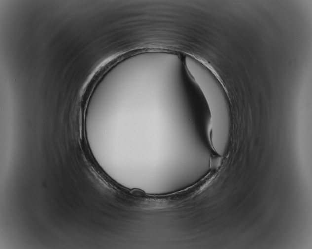 X0000082931123200703020059