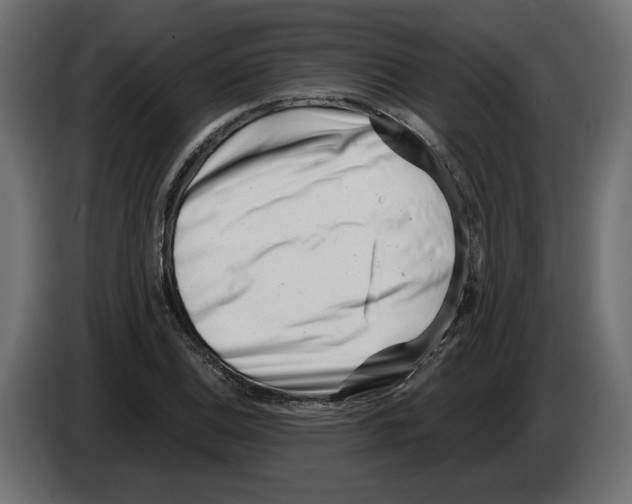 X0000082931124200703020059