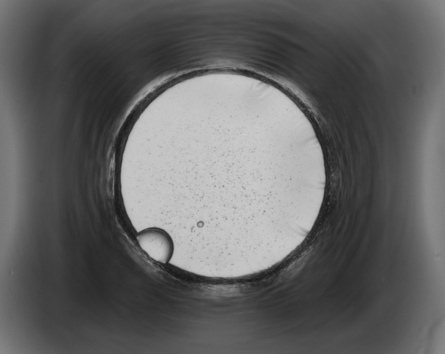 X0000082931126200703020059
