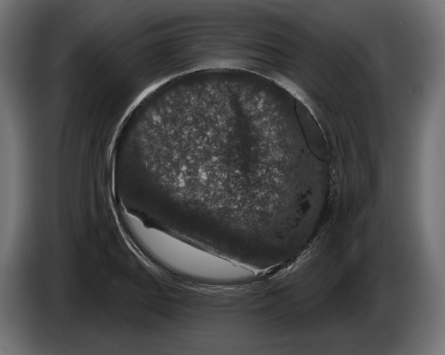 X0000082931127200703020059