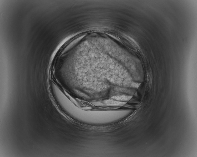 X0000082931128200703020059