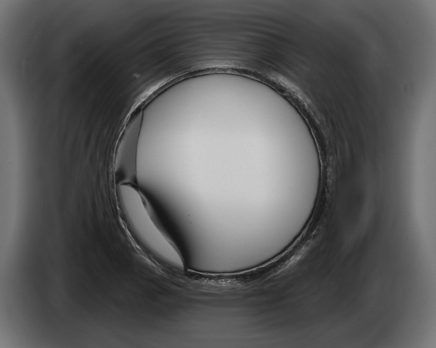 X0000082931129200703020059