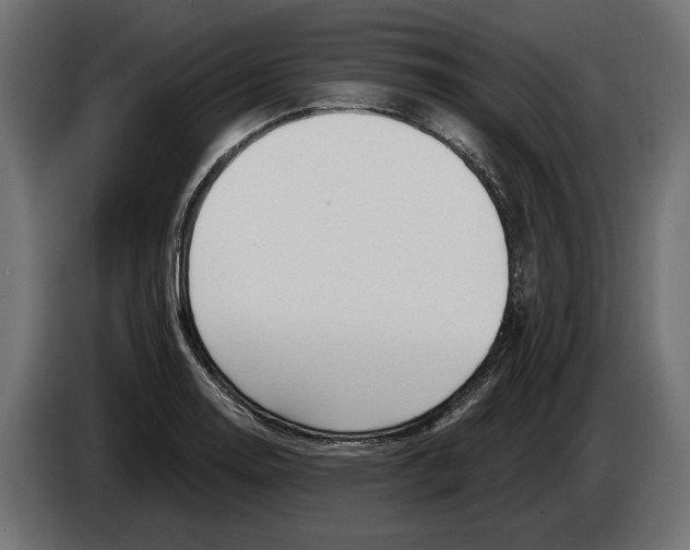 X0000082931130200703020059