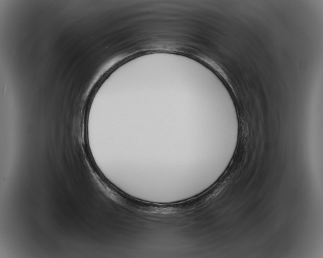 X0000082931131200703020059