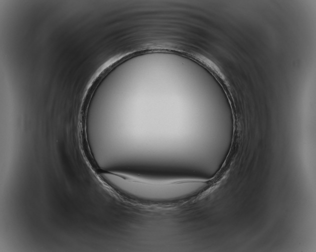 X0000082931133200703020059