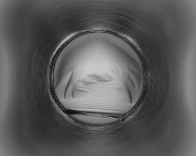 X0000082931134200703020059