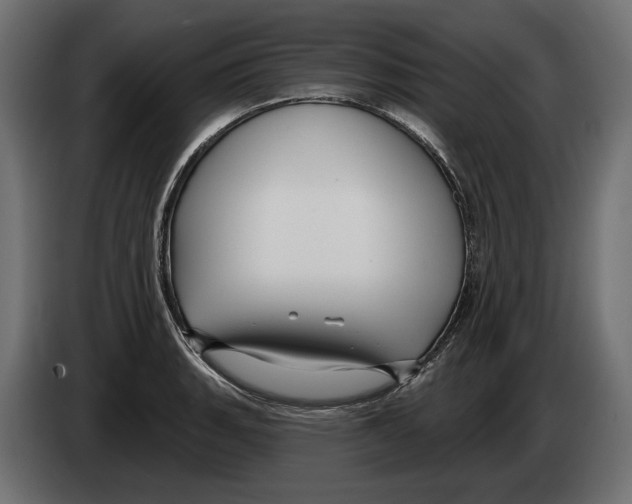 X0000082931135200703020059