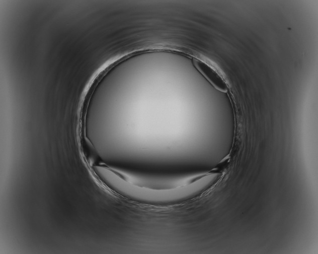 X0000082931136200703020100