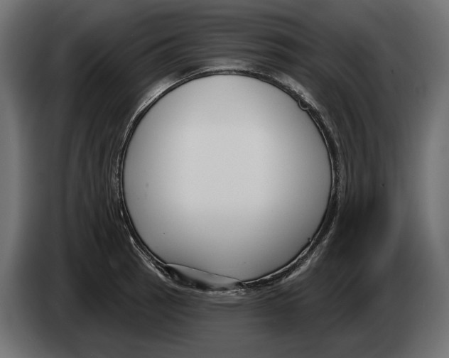 X0000082931137200703020100