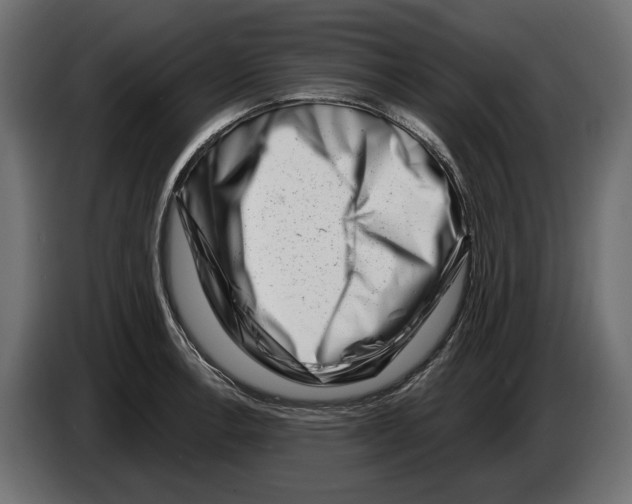 X0000082931138200703020100