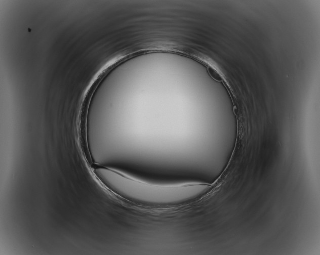 X0000082931139200703020100