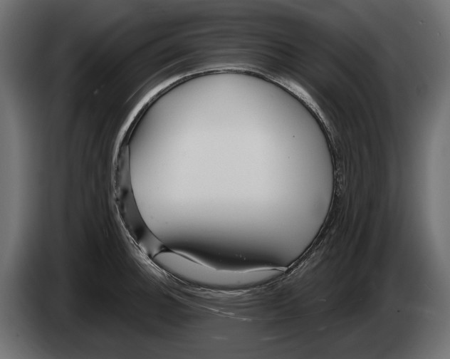 X0000082931140200703020100