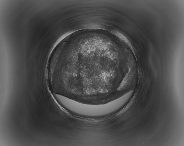 X0000082931141200703020100
