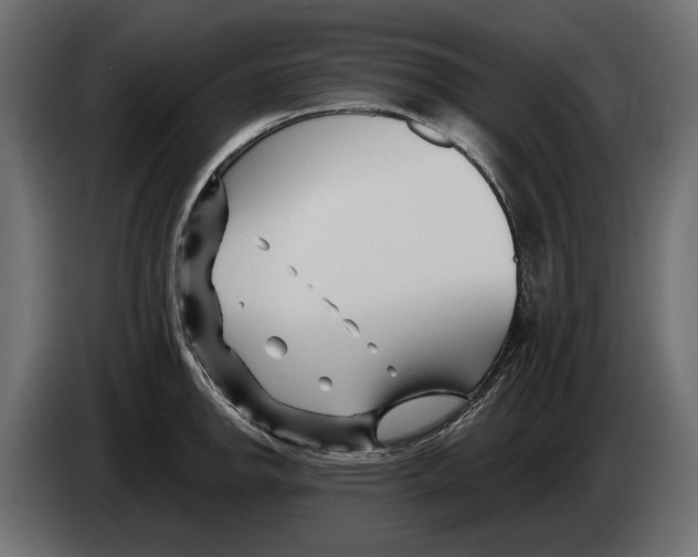 X0000082931142200703020100