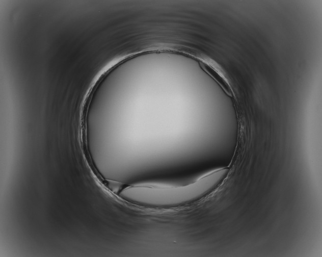 X0000082931143200703020100