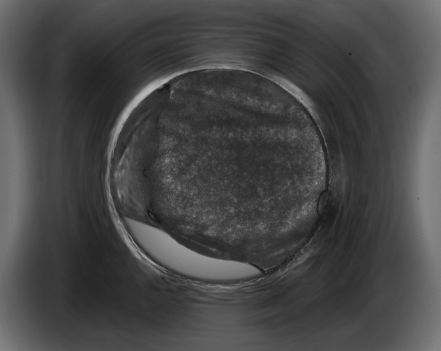 X0000082931144200703020100