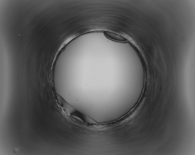 X0000082931145200703020100