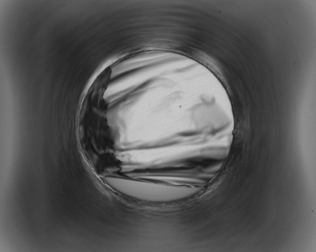 X0000082931146200703020100